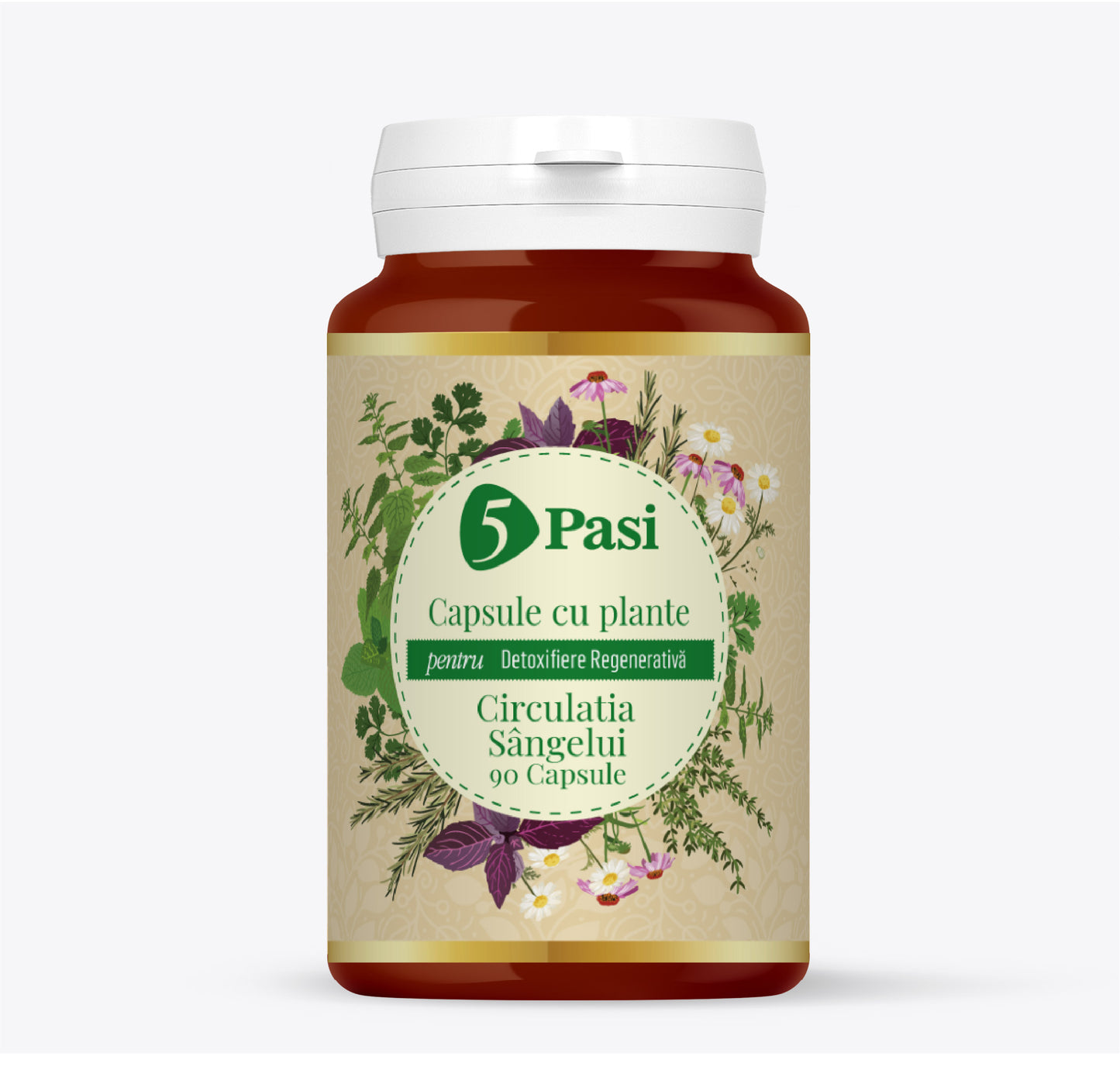 Circulatia Sângelui Capsule