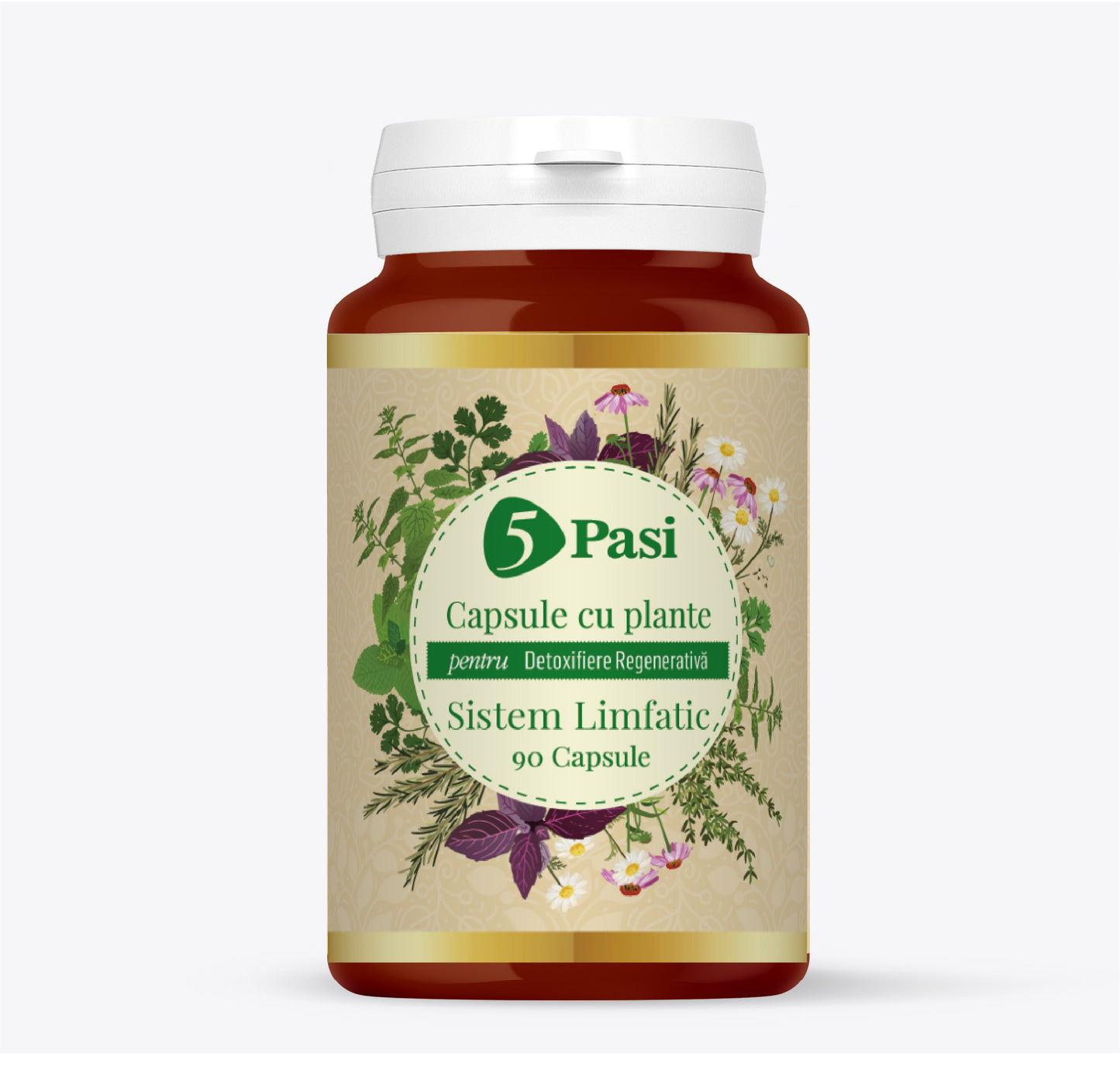 Sistem Limfatic Capsule